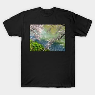 River Blossom T-Shirt